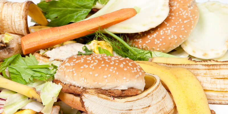 Banana Peels Bread Carrots Lettuce For Composting